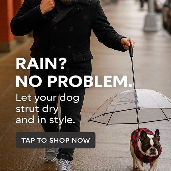 Dog Umbrella
