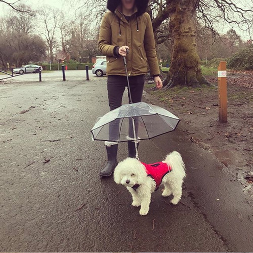 Dog Umbrella